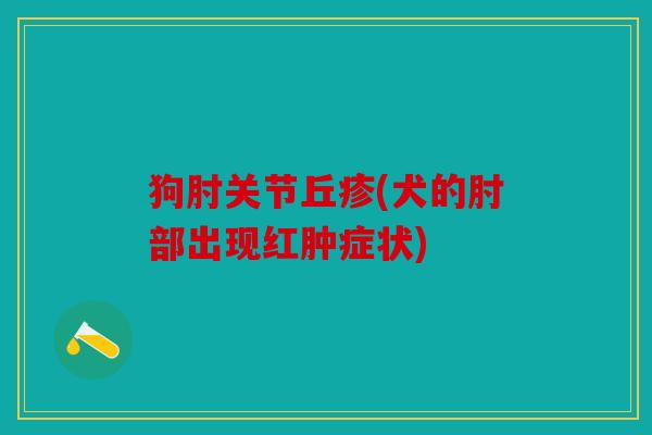 狗肘关节丘疹(犬的肘部出现红肿症状) 狗肘关节丘疹(犬的肘部出现红肿症状)