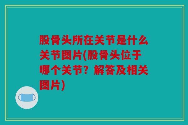 股骨头所在关节是什么关节图片(股骨头位于哪个关节？解答及相关图片)