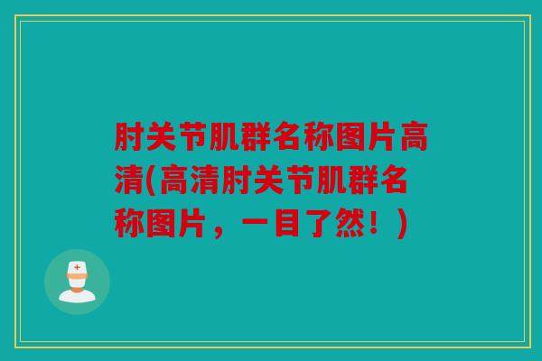 肘关节肌群名称图片高清(高清肘关节肌群名称图片，一目了然！)