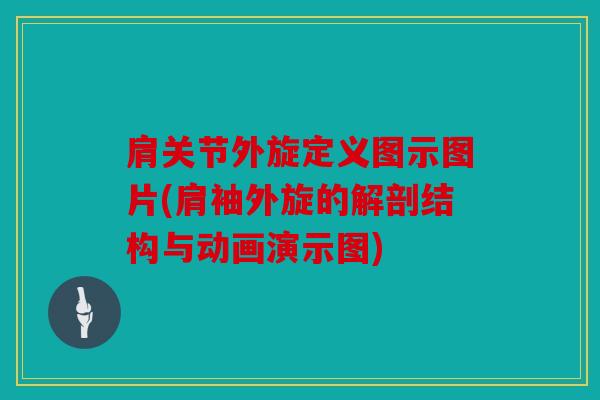 肩关节外旋定义图示图片(肩袖外旋的解剖结构与动画演示图)