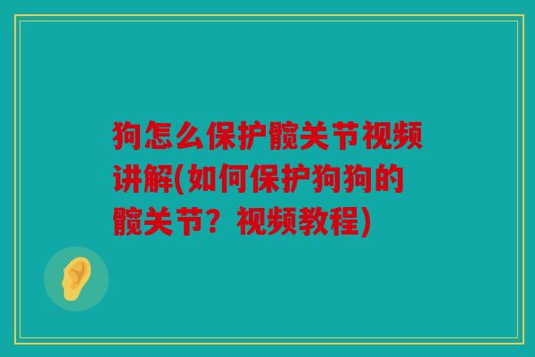 狗怎么保护髋关节视频讲解(如何保护狗狗的髋关节？视频教程)