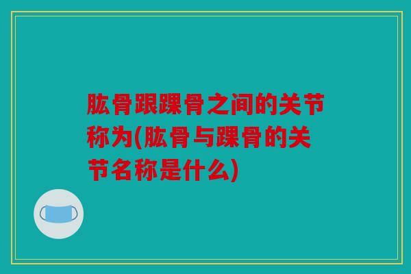 肱骨跟踝骨之间的关节称为(肱骨与踝骨的关节名称是什么) 肱骨跟踝骨之间的关节称为(肱骨与踝骨的关节名称是什么)