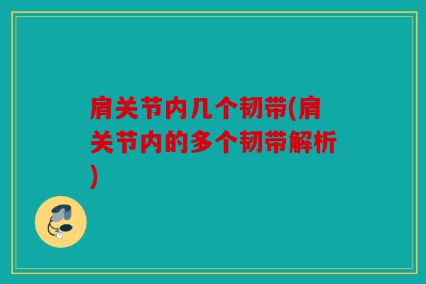 肩关节内几个韧带(肩关节内的多个韧带解析)