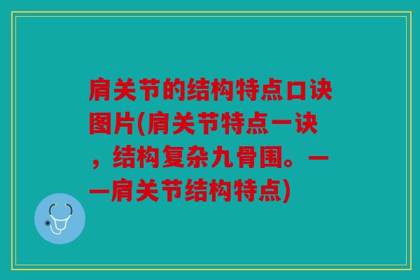 肩关节的结构特点口诀图片(肩关节特点一诀，结构复杂九骨围。——肩关节结构特点)