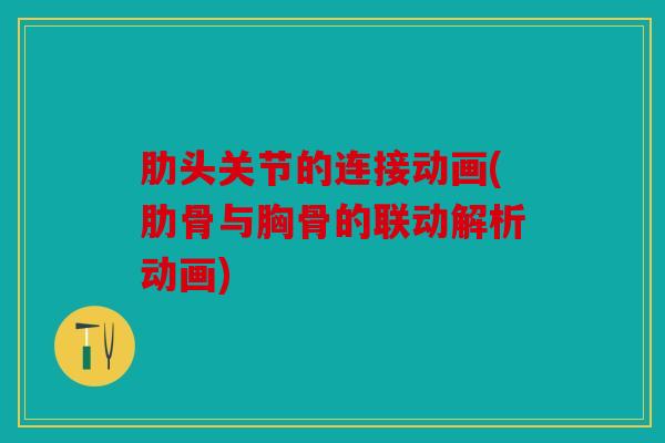 肋头关节的连接动画(肋骨与胸骨的联动解析动画)