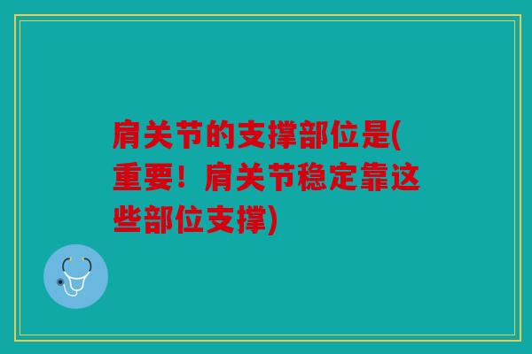肩关节的支撑部位是(重要！肩关节稳定靠这些部位支撑)