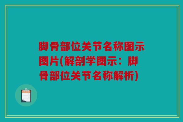 脚骨部位关节名称图示图片(解剖学图示：脚骨部位关节名称解析)