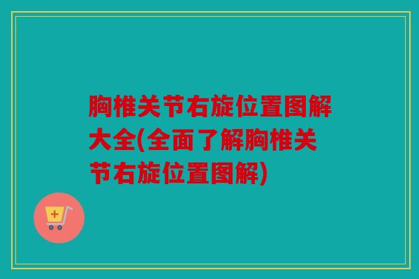 胸椎关节右旋位置图解大全(全面了解胸椎关节右旋位置图解)