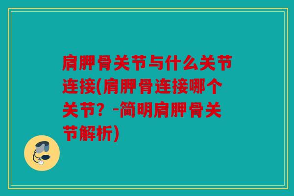 肩胛骨关节与什么关节连接(肩胛骨连接哪个关节？-简明肩胛骨关节解析)