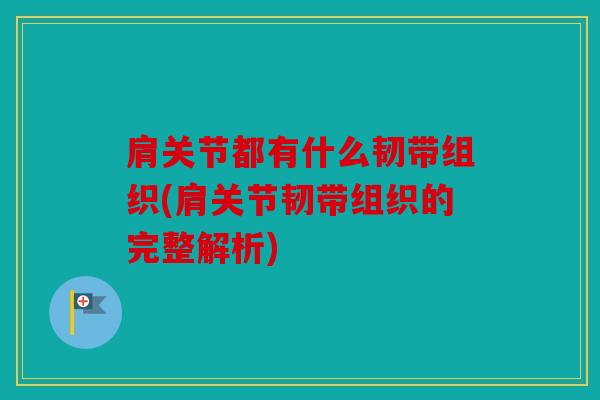 肩关节都有什么韧带组织(肩关节韧带组织的完整解析)