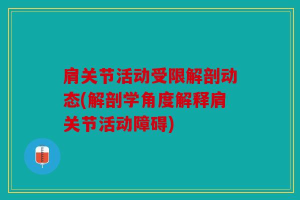 肩关节活动受限解剖动态(解剖学角度解释肩关节活动障碍) 肩关节活动受限解剖动态(解剖学角度解释肩关节活动障碍)