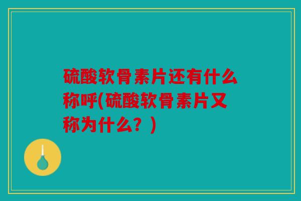 硫酸软骨素片还有什么称呼(硫酸软骨素片又称为什么？)