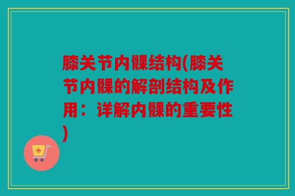 膝关节内髁结构(膝关节内髁的解剖结构及作用：详解内髁的重要性)