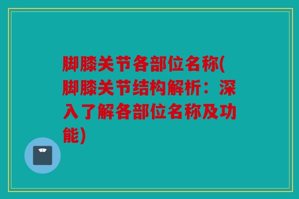 脚膝关节各部位名称(脚膝关节结构解析:深入了解各部位名称及功能) 脚膝关节各部位名称(脚膝关节结构解析:深入了解各部位名称及功能)