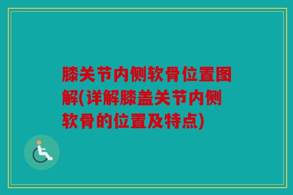 膝关节内侧软骨位置图解(详解膝盖关节内侧软骨的位置及特点)