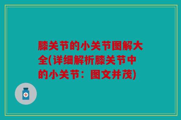膝关节的小关节图解大全(详细解析膝关节中的小关节：图文并茂)