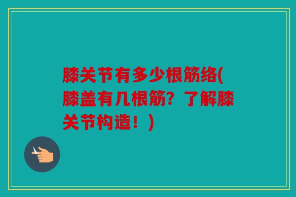 膝关节有多少根筋络(膝盖有几根筋？了解膝关节构造！)