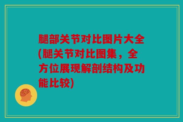 腿部关节对比图片大全(腿关节对比图集，全方位展现解剖结构及功能比较)