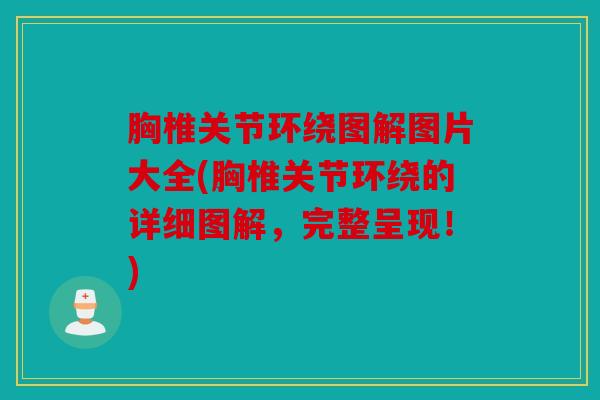 胸椎关节环绕图解图片大全(胸椎关节环绕的详细图解，完整呈现！)