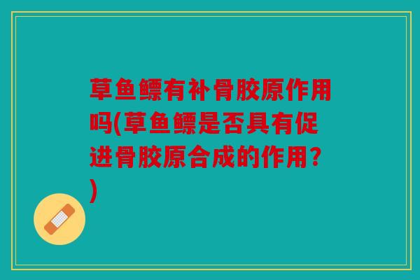 草鱼鳔有补骨胶原作用吗(草鱼鳔是否具有促进骨胶原合成的作用?) 草鱼鳔有补骨胶原作用吗(草鱼鳔是否具有促进骨胶原合成的作用?)