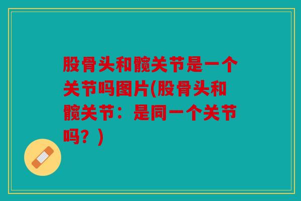 股骨头和髋关节是一个关节吗图片(股骨头和髋关节：是同一个关节吗？)