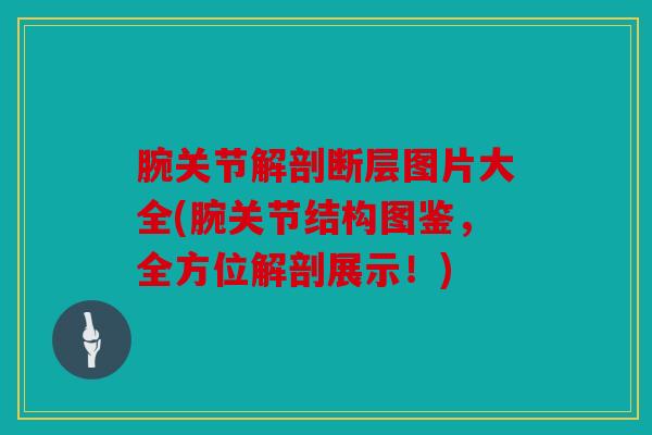 腕关节解剖断层图片大全(腕关节结构图鉴，全方位解剖展示！)