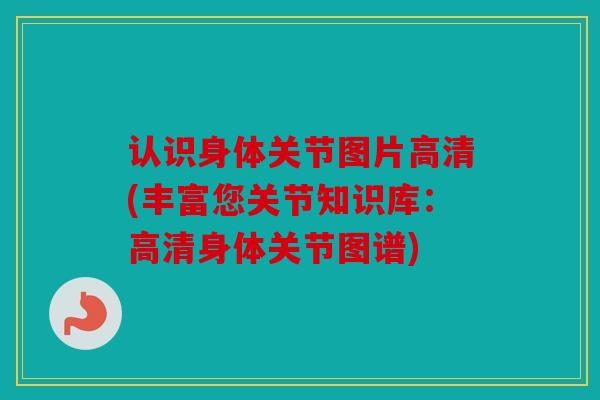 认识身体关节图片高清(丰富您关节知识库:高清身体关节图谱) 认识身体关节图片高清(丰富您关节知识库:高清身体关节图谱)