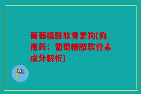 葡萄糖胺软骨素狗(狗用药:葡萄糖胺软骨素成分解析) 葡萄糖胺软骨素狗(狗用药:葡萄糖胺软骨素成分解析)
