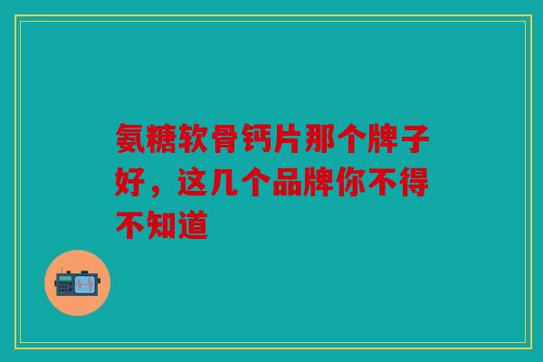 氨糖软骨钙片那个牌子好，这几个品牌你不得不知道