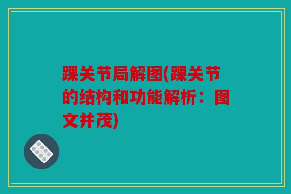踝关节局解图(踝关节的结构和功能解析：图文并茂)