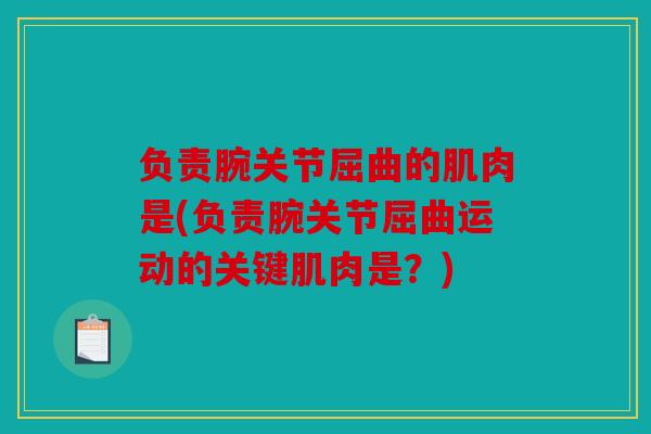 负责腕关节屈曲的肌肉是(负责腕关节屈曲运动的关键肌肉是?) 负责腕关节屈曲的肌肉是(负责腕关节屈曲运动的关键肌肉是?)