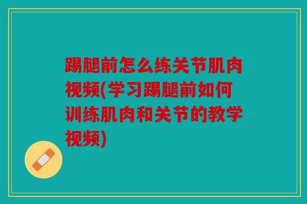 踢腿前怎么练关节肌肉视频(学习踢腿前如何训练肌肉和关节的教学视频)
