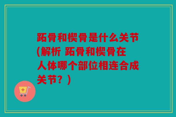 跖骨和楔骨是什么关节(解析 跖骨和楔骨在人体哪个部位相连合成关节？)