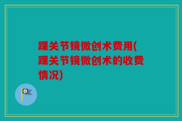 踝关节镜微创术费用(踝关节镜微创术的收费情况)