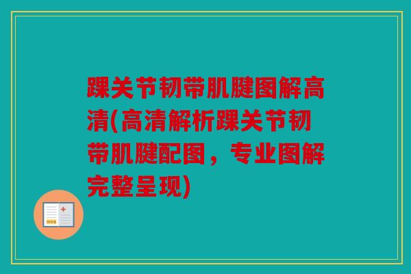 踝关节韧带肌腱图解高清(高清解析踝关节韧带肌腱配图，专业图解完整呈现)