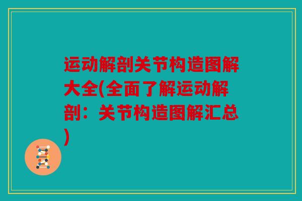 运动解剖关节构造图解大全(全面了解运动解剖:关节构造图解汇总) 运动解剖关节构造图解大全(全面了解运动解剖:关节构造图解汇总)