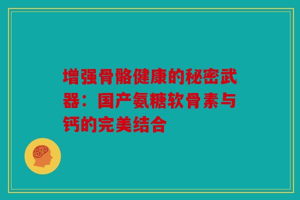增强骨骼健康的秘密武器:国产氨糖软骨素与钙的完美结合 增强骨骼健康的秘密武器:国产氨糖软骨素与钙的完美结合
