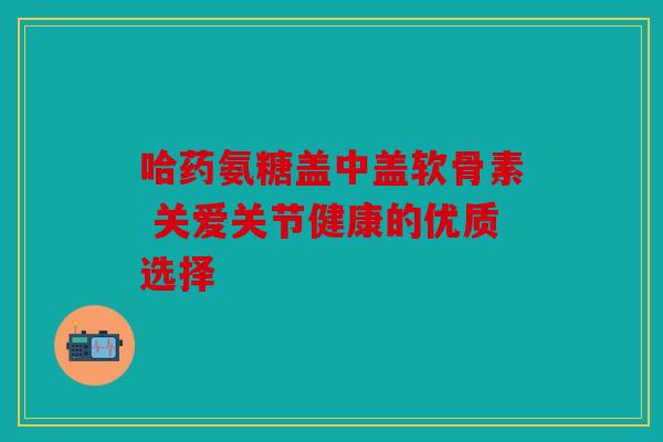 哈药氨糖盖中盖软骨素 关爱关节健康的优质选择