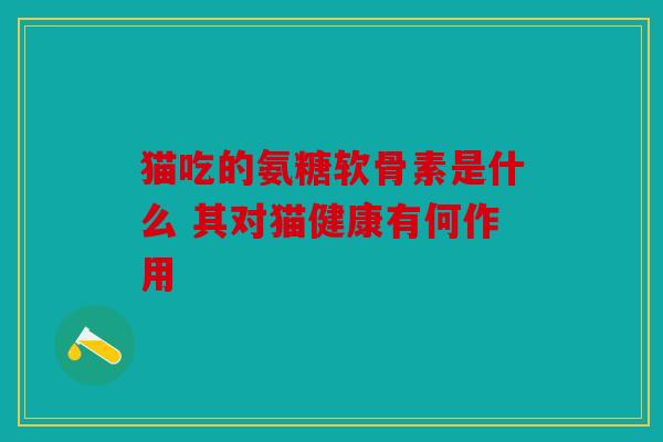猫吃的氨糖软骨素是什么 其对猫健康有何作用 猫吃的氨糖软骨素是什么 其对猫健康有何作用