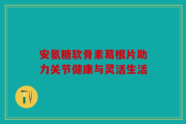 安氨糖软骨素葛根片助力关节健康与灵活生活 安氨糖软骨素葛根片助力关节健康与灵活生活