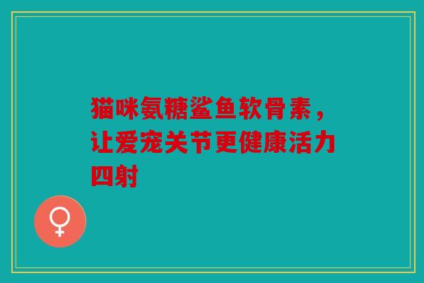 猫咪氨糖鲨鱼软骨素,让爱宠关节更健康活力四射 猫咪氨糖鲨鱼软骨素,让爱宠关节更健康活力四射