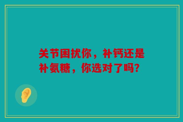 关节困扰你，补钙还是补氨糖，你选对了吗？