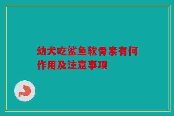 幼犬吃鲨鱼软骨素有何作用及注意事项 幼犬吃鲨鱼软骨素有何作用及注意事项