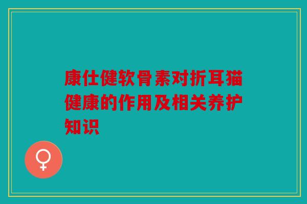 康仕健软骨素对折耳猫健康的作用及相关养护知识