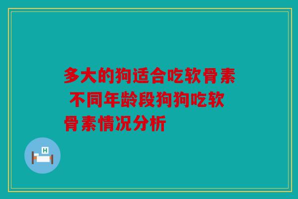 多大的狗适合吃软骨素 不同年龄段狗狗吃软骨素情况分析 多大的狗适合吃软骨素 不同年龄段狗狗吃软骨素情况分析