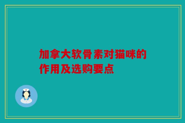 加拿大软骨素对猫咪的作用及选购要点 加拿大软骨素对猫咪的作用及选购要点