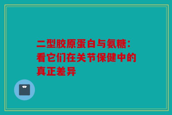 二型胶原蛋白与氨糖：看它们在关节保健中的真正差异