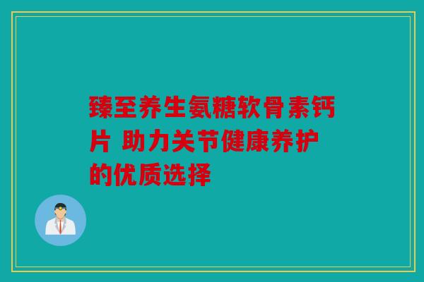 臻至养生氨糖软骨素钙片 助力关节健康养护的优质选择 臻至养生氨糖软骨素钙片 助力关节健康养护的优质选择